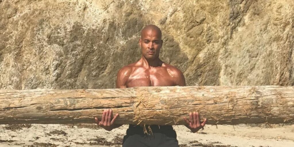 David Goggins Career